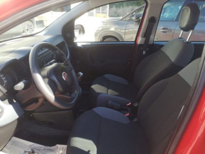 Fiat Panda 1.2 Easy (9)