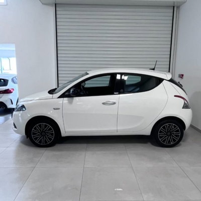 Lancia Ypsilon 1.0 FireFly 5 porte S&S Hybrid Ecochic Gold (4)