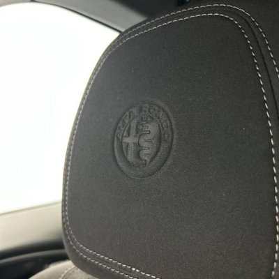 Alfa Romeo Stelvio Stelvio 2.0 Turbo 280 CV AT8 Q4 Veloce (12)