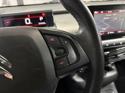 Citroen C4 Cactus PureTech 110 S&S EAT6 Shine (14)