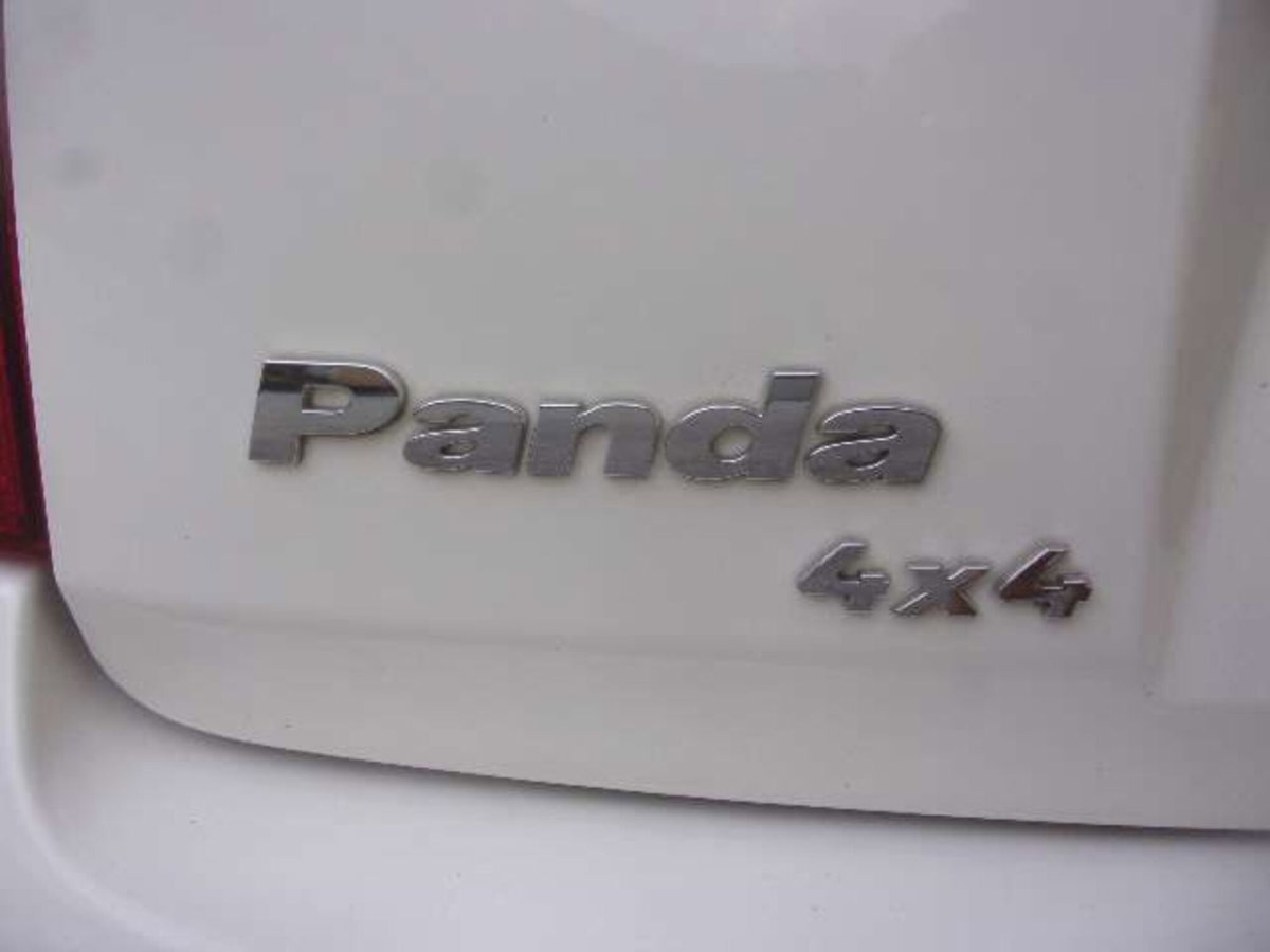 Fiat Panda 1.3 MJT 16V DPF 4x4 Climbing (12)