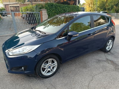 Ford Fiesta 1.4 5 porte Bz.- GPL Titanium (4)