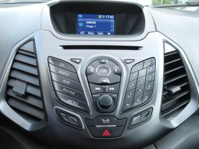 Ford EcoSport 1.5 TDCi 95 CV Titanium S (14)