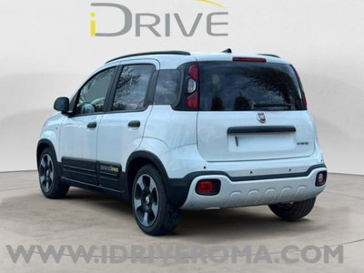 Fiat Panda Cross Cross 1.0 FireFly S&S Hybrid (4)