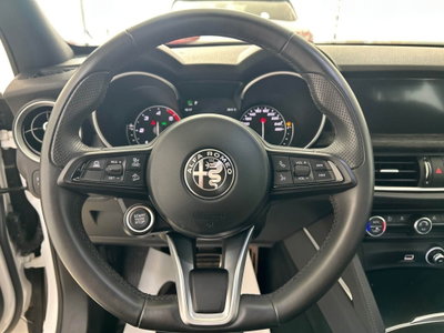Alfa Romeo Stelvio Stelvio 2.2 Turbodiesel 190 CV AT8 Q4 Super Business (18)