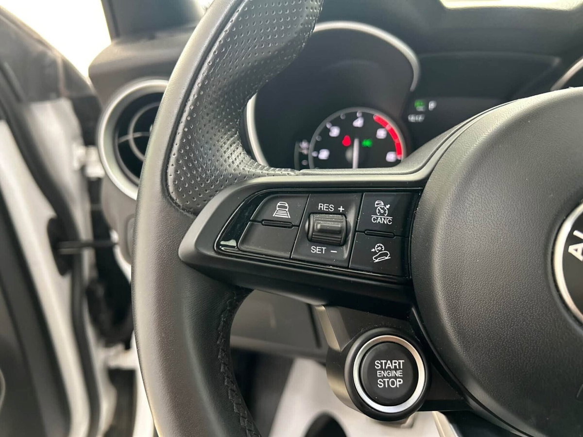 Alfa Romeo Stelvio Stelvio 2.2 Turbodiesel 190 CV AT8 Q4 Super Business (19)