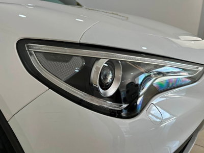 Alfa Romeo Stelvio Stelvio 2.2 Turbodiesel 190 CV AT8 Q4 Super Business (7)