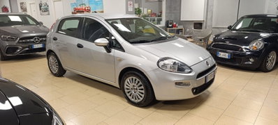 Fiat Punto 1.3 MJT II S&S 85 CV 5 porte ECO Young (3)