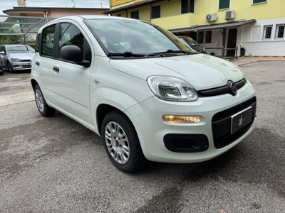 Fiat Panda 1.0 FireFly S&S Hybrid Easy (2)
