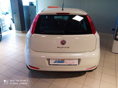 Fiat Punto 1.3 MJT 95CV S&S MTA 5 porte Van Easy 4 posti (3)