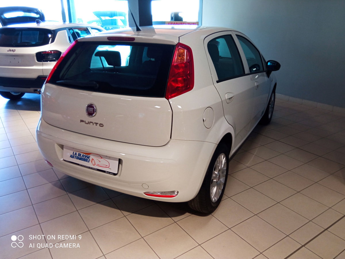 Fiat Punto 1.3 MJT 95CV S&S MTA 5 porte Van Easy 4 posti (4)