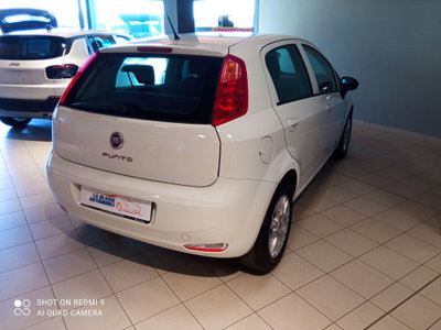 Fiat Punto 1.3 MJT 95CV S&S MTA 5 porte Van Easy 4 posti (4)