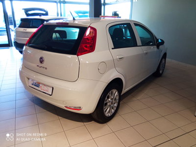 Fiat Punto 1.3 MJT 95CV S&S MTA 5 porte Van Easy 4 posti (5)
