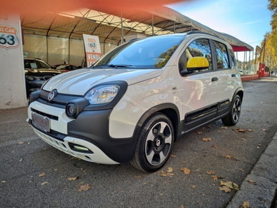 Fiat Panda Cross Cross 1.0 FireFly S&S Hybrid usata