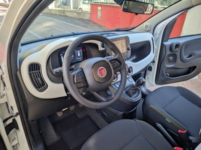 Fiat Panda Cross Cross 1.0 FireFly S&S Hybrid (13)