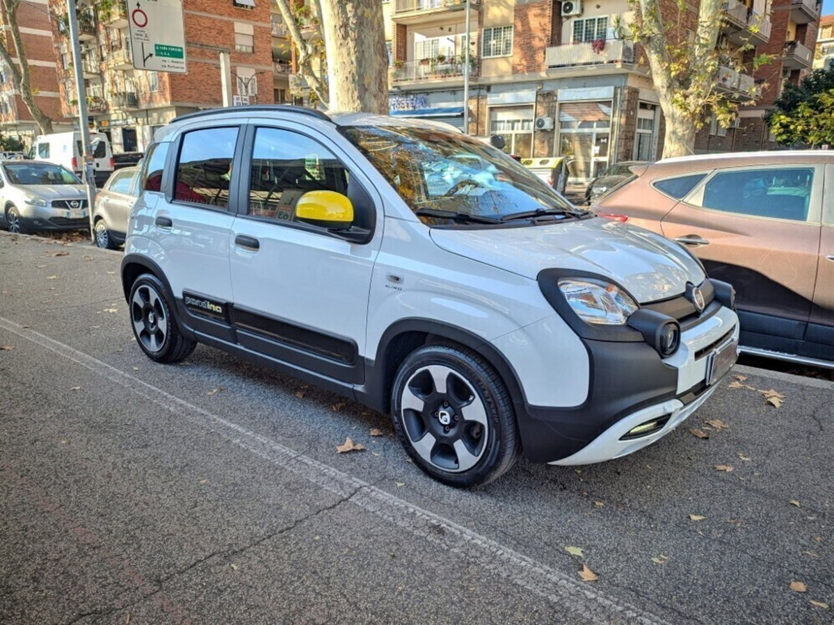 Fiat Panda Cross Cross 1.0 FireFly S&S Hybrid (3)