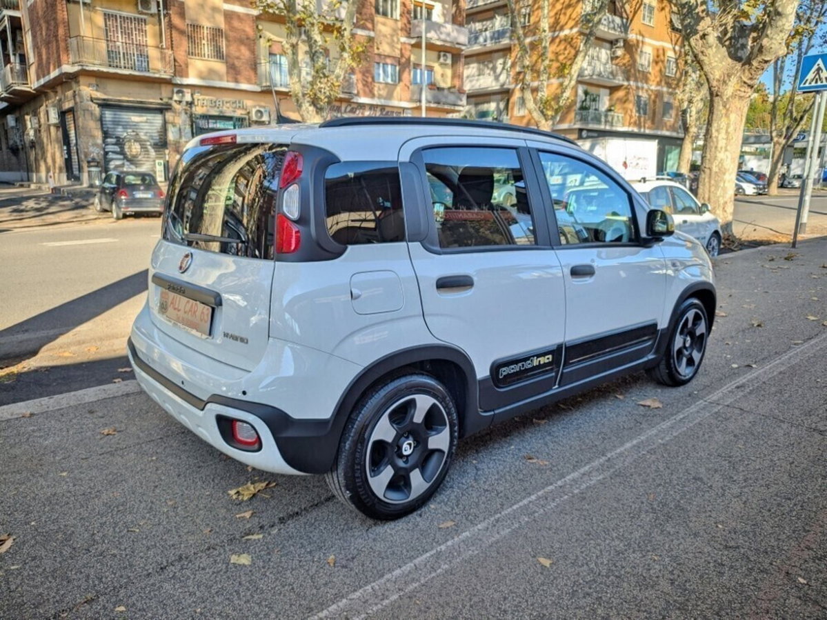 Fiat Panda Cross Cross 1.0 FireFly S&S Hybrid (4)