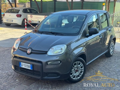 Fiat Panda 1.0 FireFly S&S Hybrid City Cross usata