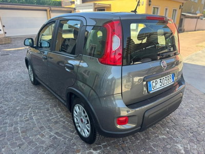 Fiat Panda 1.0 FireFly S&S Hybrid City Cross (4)