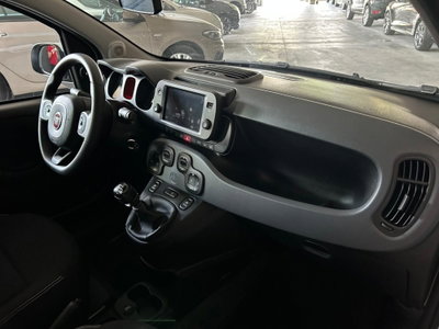 Fiat Panda Cross Cross 1.0 FireFly S&S Hybrid (12)