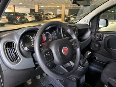 Fiat Panda Cross Cross 1.0 FireFly S&S Hybrid (7)