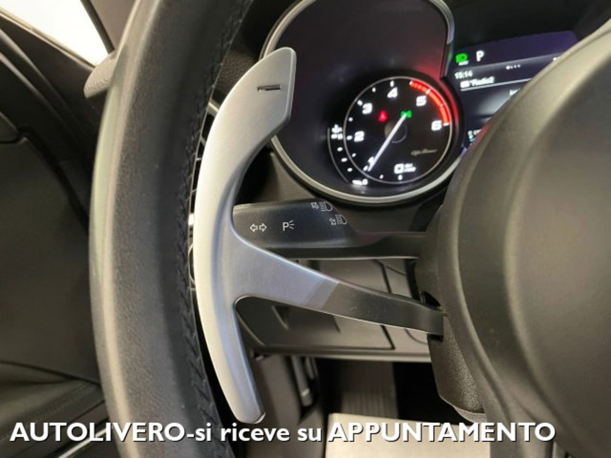 Alfa Romeo Stelvio Stelvio 2.2 Turbodiesel 210 CV AT8 Q4 Executive (14)