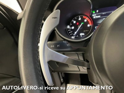 Alfa Romeo Stelvio Stelvio 2.2 Turbodiesel 210 CV AT8 Q4 Executive (14)