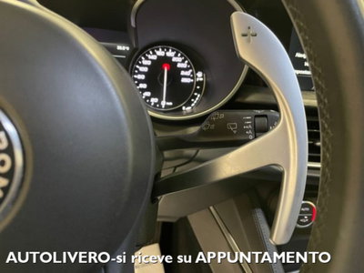 Alfa Romeo Stelvio Stelvio 2.2 Turbodiesel 210 CV AT8 Q4 Executive (15)