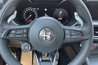 Alfa Romeo Stelvio Stelvio 2.2 Turbodiesel 210 CV AT8 Q4 Veloce (8)