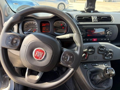 Fiat Panda 1.0 FireFly S&S Hybrid City Cross (10)