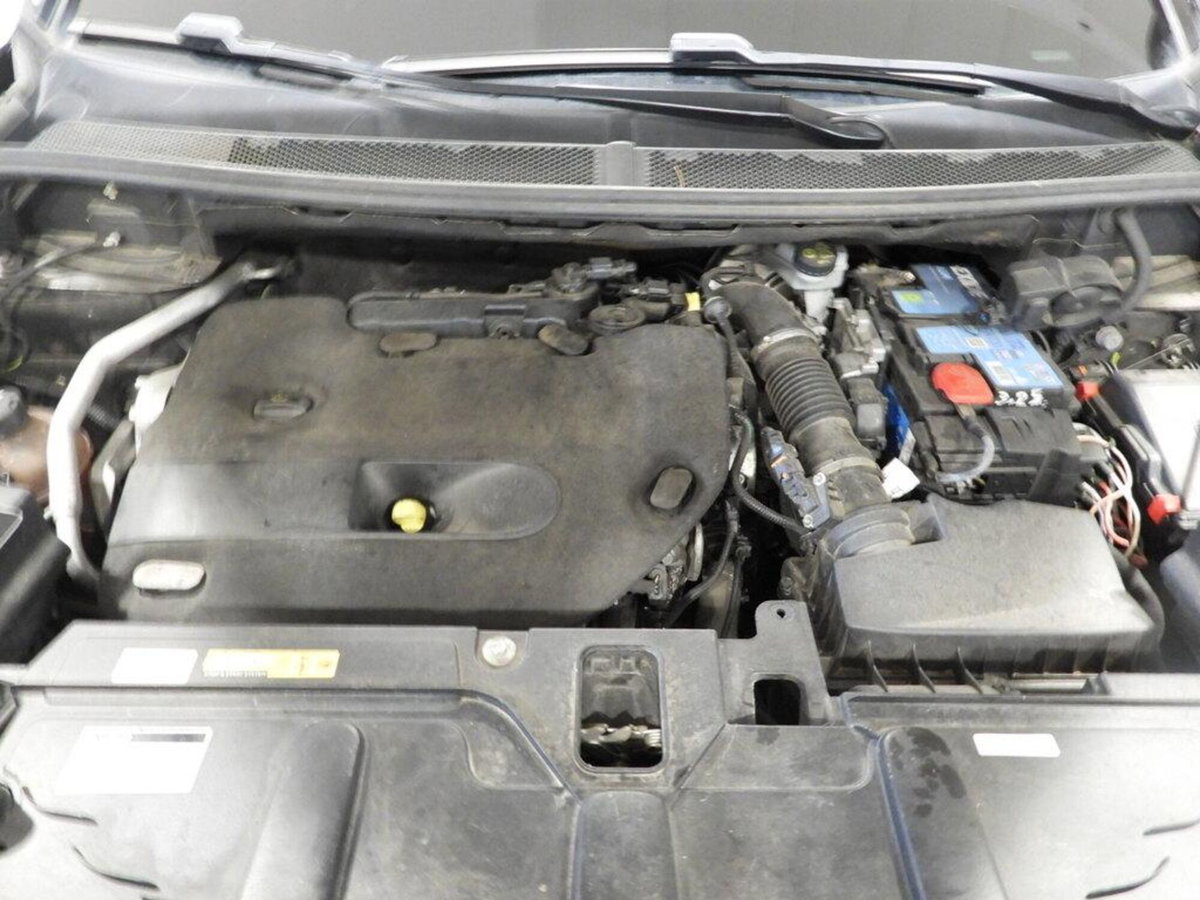 Peugeot 3008 BlueHDi 150 S&S Business (14)