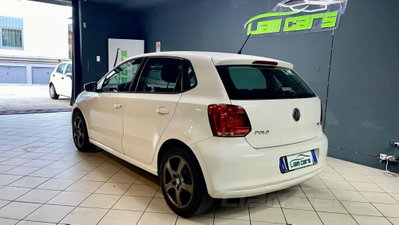 Volkswagen Polo 1.2 TDI DPF 5 p. Comfortline (4)