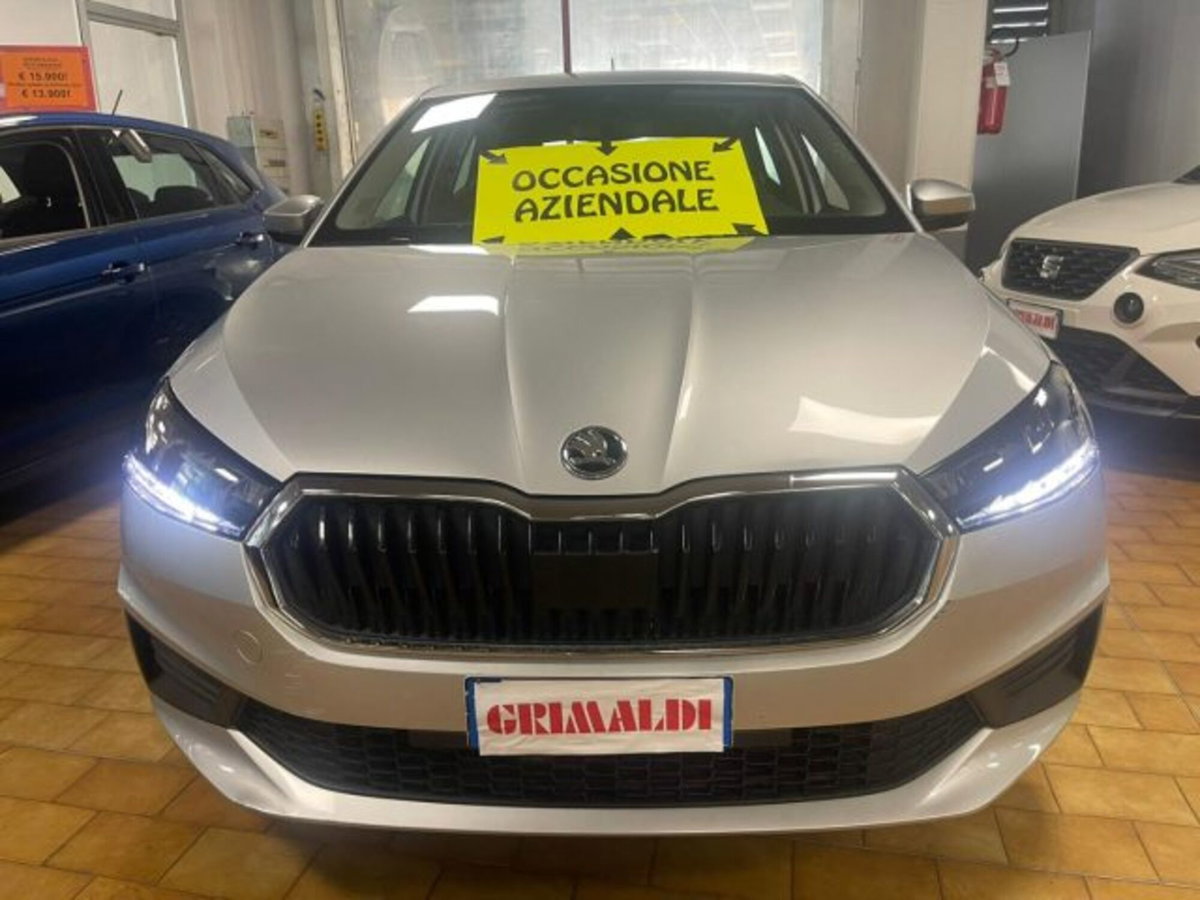 Skoda Fabia 1.0 TSI EVO 95 CV Ambition (2)