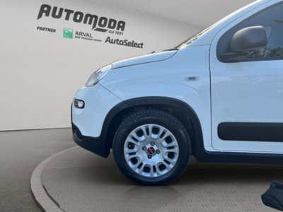 Fiat Panda van 1.0 hybrid Pop 70cv 2p.ti serie 4 E6d (19)