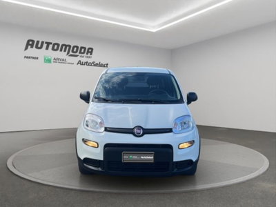 Fiat Panda van 1.0 hybrid Pop 70cv 2p.ti serie 4 E6d (2)