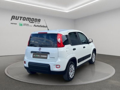 Fiat Panda van 1.0 hybrid Pop 70cv 2p.ti serie 4 E6d (4)