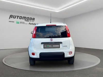 Fiat Panda van 1.0 hybrid Pop 70cv 2p.ti serie 4 E6d (5)