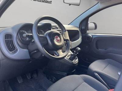 Fiat Panda van 1.0 hybrid Pop 70cv 2p.ti serie 4 E6d (7)