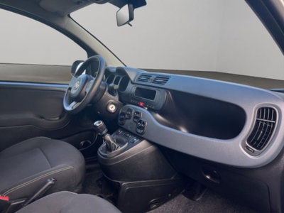 Fiat Panda van 1.0 hybrid Pop 70cv 2p.ti serie 4 E6d (9)