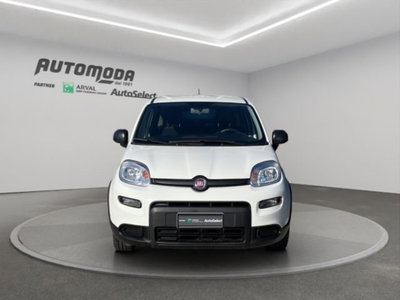 Fiat Panda van 1.0 hybrid Street 70cv 4p.ti serie 4 E6d (2)