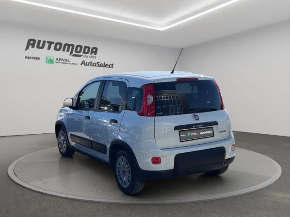 Fiat Panda van 1.0 hybrid Street 70cv 4p.ti serie 4 E6d (6)