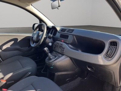 Fiat Panda van 1.0 hybrid Street 70cv 4p.ti serie 4 E6d (9)