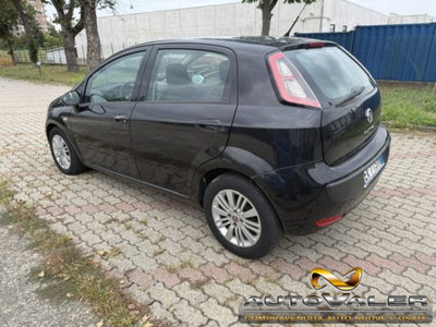 Fiat Punto Evo 1.3 MJT 75CV 5 porte Van Dynamic (3)