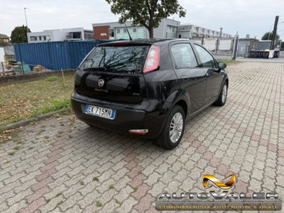 Fiat Punto Evo 1.3 MJT 75CV 5 porte Van Dynamic (4)