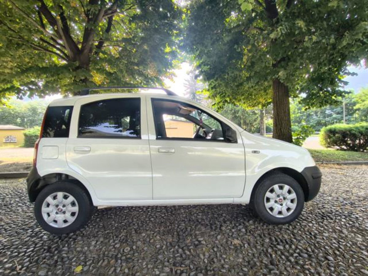 Fiat Panda 1.3 MJT Van Dynamic 4 posti (N1) (3)