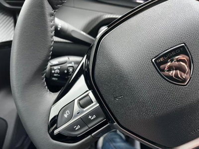 Peugeot 2008 PureTech 100 S&S Allure (6)
