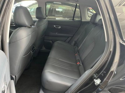 Geely Starray Starray EM-i 1.5 phev Pro auto (14)