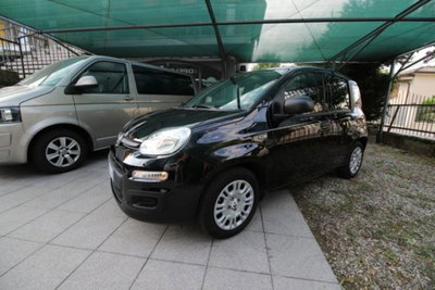 Fiat Panda 1.0 firefly hybrid Icon s&s 70cv (2)