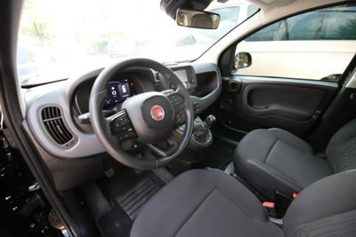 Fiat Panda 1.0 firefly hybrid Icon s&s 70cv (12)