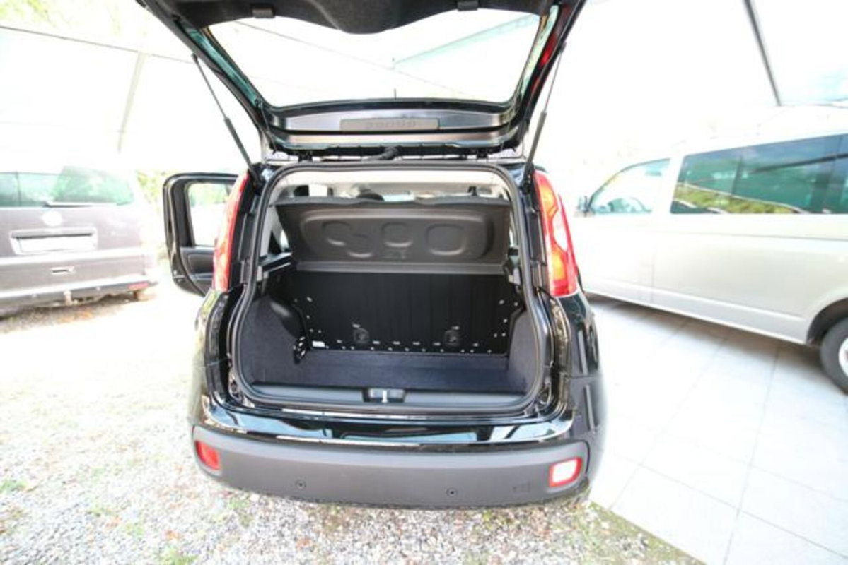 Fiat Panda 1.0 firefly hybrid Icon s&s 70cv (14)